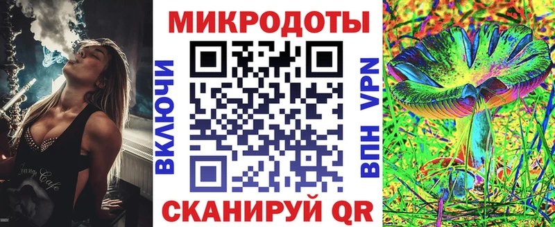 закладка  Болотное  Псилоцибиновые грибы мицелий 